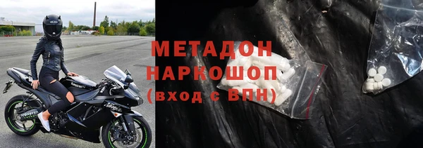 прущие грибы Белокуриха