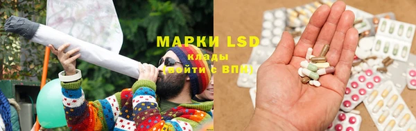 прущие грибы Белокуриха
