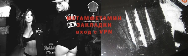 прущие грибы Белокуриха