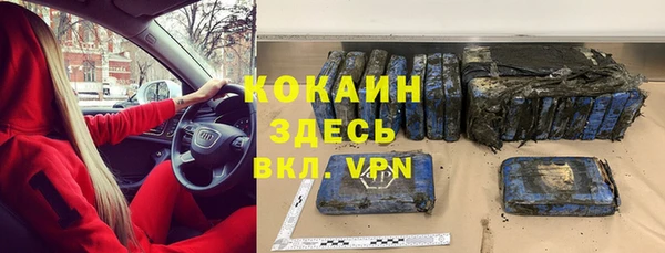 прущие грибы Белокуриха