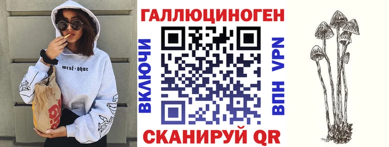 купить закладку Павловск Псилоцибиновые грибы Cubensis